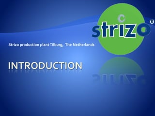 Strizo production plantTilburg, The Netherlands
 