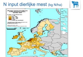 N input dierlijke mest (kg N/ha)
 