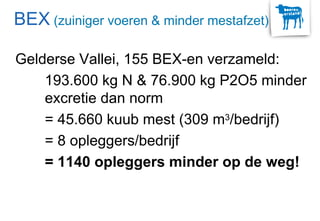 Gelderse Vallei, 155 BEX-en verzameld:
193.600 kg N & 76.900 kg P2O5 minder
excretie dan norm
= 45.660 kuub mest (309 m3/bedrijf)
= 8 opleggers/bedrijf
= 1140 opleggers minder op de weg!
BEX (zuiniger voeren & minder mestafzet)
 