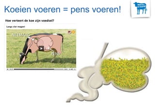 Koeien voeren = pens voeren!
 