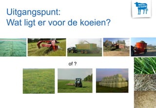 Uitgangspunt:
Wat ligt er voor de koeien?
of ?
 