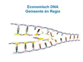 Economisch DNA 
Gemeente én Regio 
 