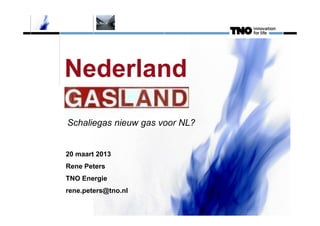 Nederland
Schaliegas nieuw gas voor NL?

20 maart 2013
Rene Peters
TNO Energie
rene.peters@tno.nl

 