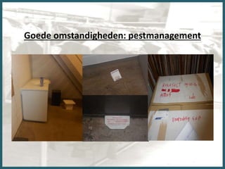 Goede omstandigheden: pestmanagement
 