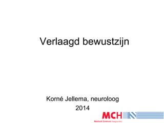Verlaagd bewustzijn
Korné Jellema, neuroloog
2014
 
