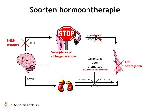 gezondheid | SPIRITUEEL Boeddha | Pagina 52