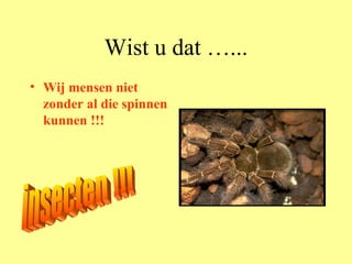 Wist u dat …... Wij mensen niet zonder al die spinnen kunnen !!! insecten !!! 