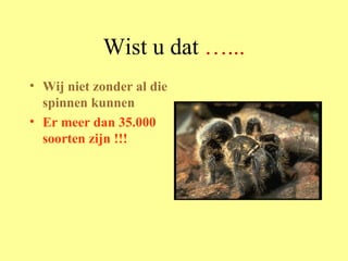 Wist u dat  …... Wij niet zonder al die spinnen kunnen Er meer dan 35.000 soorten zijn !!! 