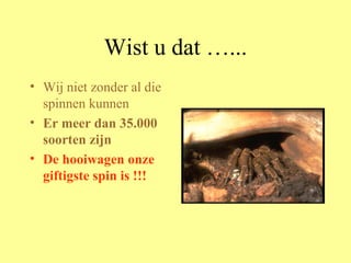 Wist u dat …... Wij niet zonder al die spinnen kunnen Er meer dan 35.000 soorten zijn De hooiwagen onze giftigste spin is !!! 