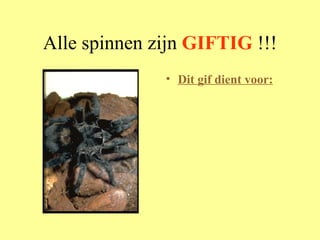Alle spinnen zijn  GIFTIG  !!! Dit gif dient voor: 