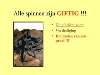 Alle spinnen zijn  GIFTIG  !!! Dit gif dient voor: Verdediging  Het doden van een prooi !!! 