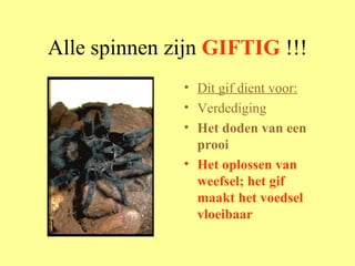 Alle spinnen zijn  GIFTIG  !!! Dit gif dient voor: Verdediging  Het doden van een prooi  Het oplossen van weefsel; het gif maakt het voedsel vloeibaar  