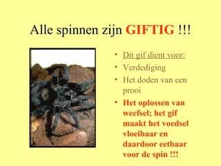 Alle spinnen zijn  GIFTIG  !!! Dit gif dient voor: Verdediging  Het doden van een prooi  Het oplossen van weefsel; het gif maakt het voedsel vloeibaar en daardoor eetbaar voor de spin !!! 