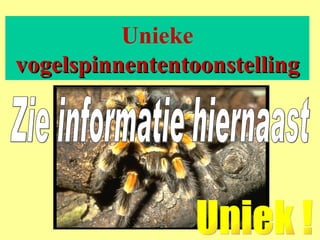 Unieke  vogelspinnententoonstelling Uniek ! Zie informatie hiernaast 
