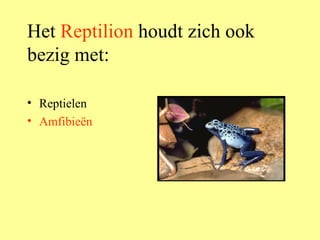 Het  Reptilion  houdt zich ook bezig met: Reptielen Amfibieën 