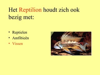 Het  Reptilion  houdt zich ook bezig met: Reptielen Amfibieën Vissen 