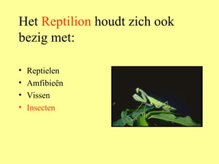 Het  Reptilion  houdt zich ook bezig met: Reptielen Amfibieën Vissen Insecten 