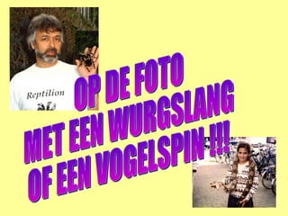 OP DE FOTO MET EEN WURGSLANG  OF EEN VOGELSPIN !!! 