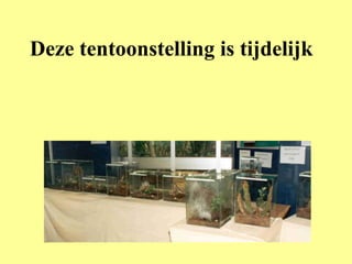 Deze tentoonstelling is tijdelijk 