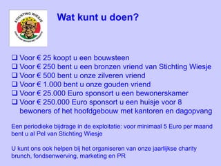 Wat kunt u doen?
 Voor € 25 koopt u een bouwsteen
 Voor € 250 bent u een bronzen vriend van Stichting Wiesje
 Voor € 500 bent u onze zilveren vriend
 Voor € 1.000 bent u onze gouden vriend
 Voor € 25.000 Euro sponsort u een bewonerskamer
 Voor € 250.000 Euro sponsort u een huisje voor 8
bewoners of het hoofdgebouw met kantoren en dagopvang
Een periodieke bijdrage in de exploitatie: voor minimaal 5 Euro per maand
bent u al Pel van Stichting Wiesje
U kunt ons ook helpen bij het organiseren van onze jaarlijkse charity
brunch, fondsenwerving, marketing en PR
 