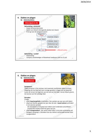 28/06/2014
9
4. Ziektes en plagen
b) Gebreksziektes
Stikstofgebrek (N)
Behandeling - preventief
- Zaaien van groenbemester...