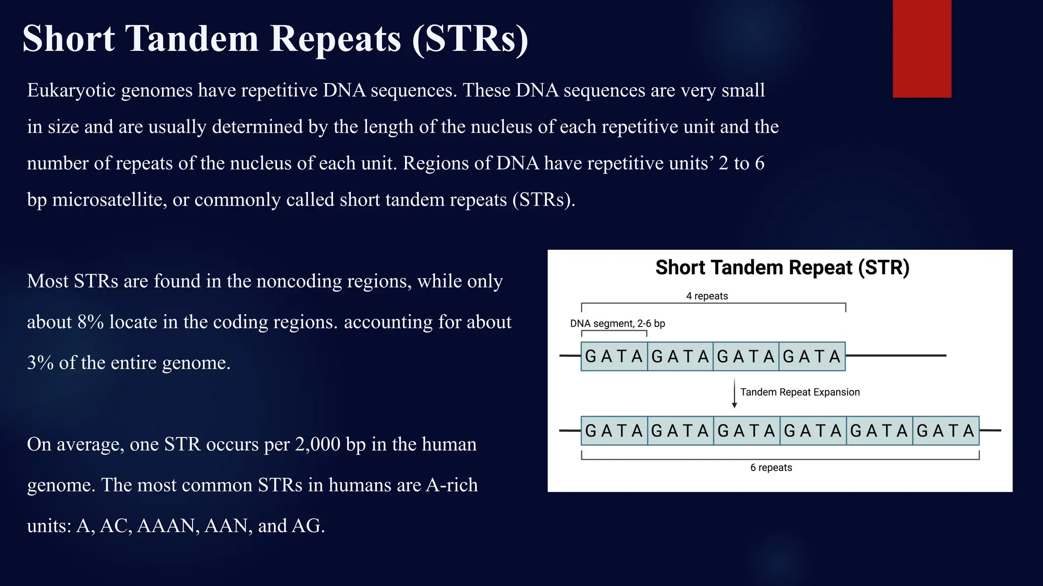 Short Tandem Repeats (STRs)
Eukaryotic genomes have repetitive DNA sequences. These DNA sequences are very small
in size and are usually determined by the length of the nucleus of each repetitive unit and the
number of repeats of the nucleus of each unit. Regions of DNA have repetitive units’ 2 to 6
bp microsatellite, or commonly called short tandem repeats (STRs).
Most STRs are found in the noncoding regions, while only
about 8% locate in the coding regions. accounting for about
3% of the entire genome.
On average, one STR occurs per 2,000 bp in the human
genome. The most common STRs in humans are A-rich
units: A, AC, AAAN, AAN, and AG.
 