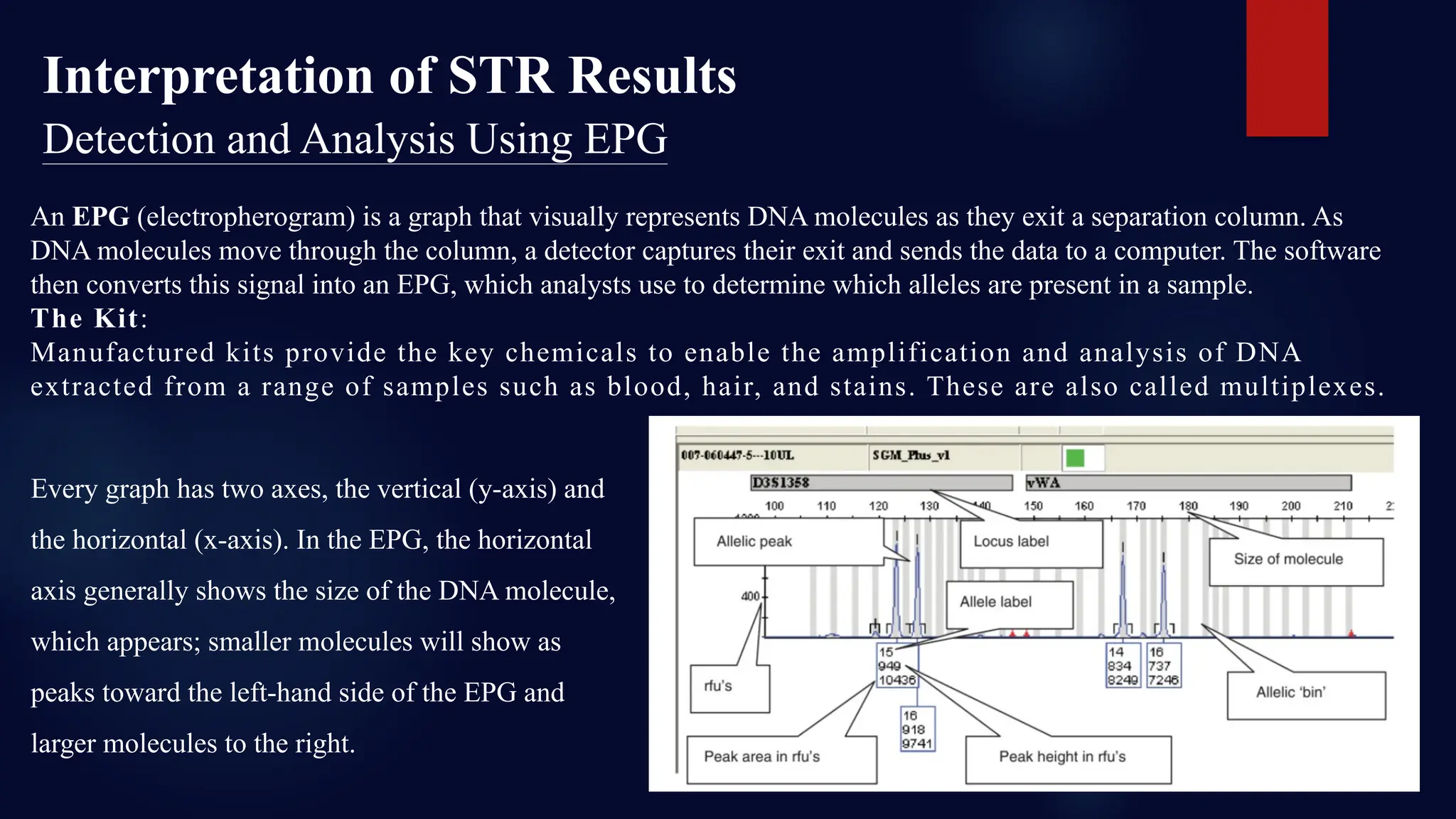 Interpretation of STR Results
Detection and Analysis Using EPG
An EPG (electropherogram) is a graph that visually represents DNA molecules as they exit a separation column. As
DNA molecules move through the column, a detector captures their exit and sends the data to a computer. The software
then converts this signal into an EPG, which analysts use to determine which alleles are present in a sample.
The Kit:
Manufactured kits provide the key chemicals to enable the amplification and analysis of DNA
extracted from a range of samples such as blood, hair, and stains. These are also called multiplexes.
Every graph has two axes, the vertical (y-axis) and
the horizontal (x-axis). In the EPG, the horizontal
axis generally shows the size of the DNA molecule,
which appears; smaller molecules will show as
peaks toward the left-hand side of the EPG and
larger molecules to the right.
 