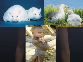 Controls gastric juices