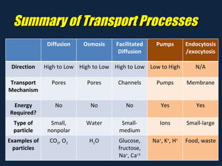 Summary of Transport Processes Diffusion Osmosis Facilitated Diffusion Pumps Endocytosis/exocytosis Direction High to Low High to Low High to Low Low to High N/A Transport Mechanism Pores Pores Channels Pumps Membrane Energy Required? No No No Yes Yes Type of particle Small, nonpolar Water Small-medium Ions Small-large Examples of particles CO 2 , O 2 H 2 O Glucose, fructose, Na + , Ca +2 Na + , K + , H + Food, waste 