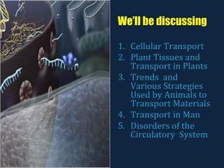 We’ll be discussing <ul><li>Cellular Transport </li></ul><ul><li>Plant Tissues and Transport in Plants </li></ul><ul><li>T...