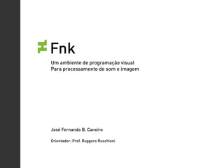 Fnk
Um ambiente de programação visual
Para processamento de som e imagem




José Fernando B. Caneiro

Orientador: Prof. Ruggero Ruschioni
 