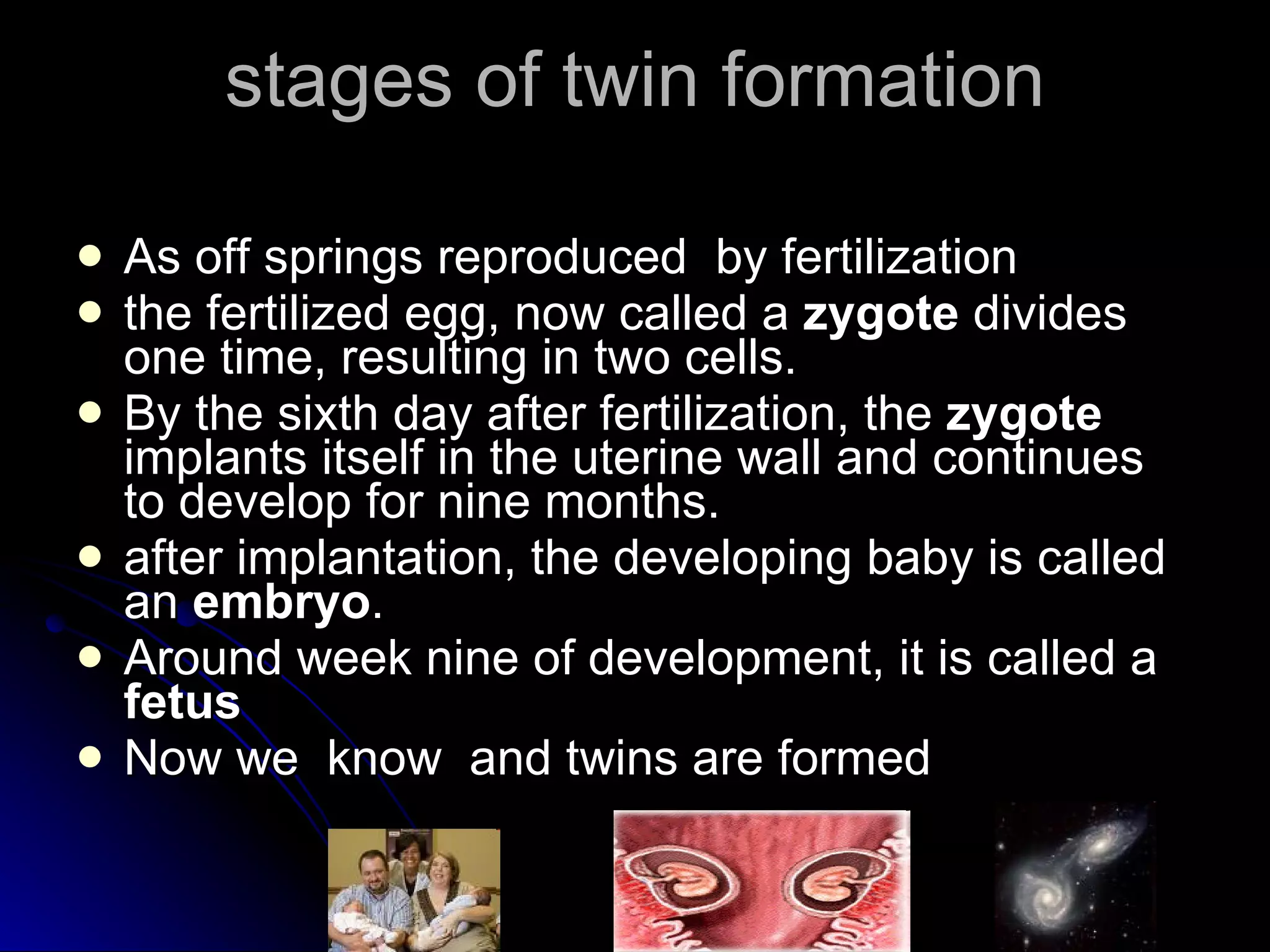 stages of twin formation As off springs reproduced  by fertilization  the fertilized egg, now called a  zygote  divides one time, resulting in two cells. By the sixth day after fertilization, the  zygote  implants itself in the uterine wall and continues to develop for nine months.  after implantation, the developing baby is called an  embryo .  Around week nine of development, it is called a  fetus   Now we  know  and twins are formed 