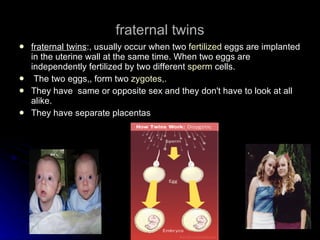 fraternal twins fraternal twins :, usually occur when two  fertilized  eggs are implanted in the uterine wall at the same time. When two eggs are independently fertilized by two different  sperm  cells. The two eggs,, form two  zygotes ,. They have  same or opposite sex and they don't have to look at all alike. They have separate placentas 