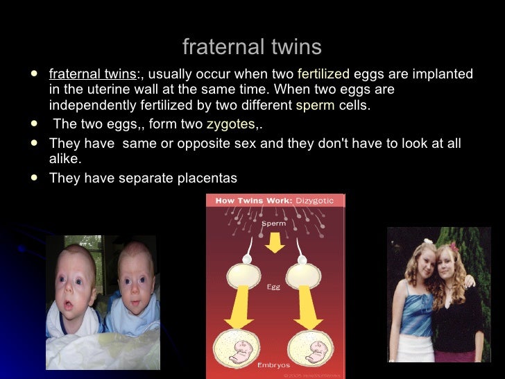 what are the twins and basic types?