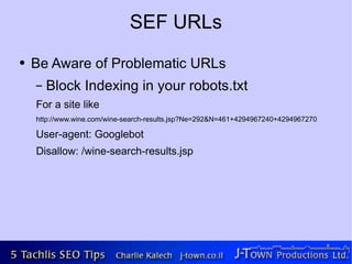 SEF URLs
●   Be Aware of Problematic URLs
    –   Block Indexing in your robots.txt
    For a site like
    http://www.wine.com/wine-search-results.jsp?Ne=292&N=461+4294967240+4294967270

    User-agent: Googlebot
    Disallow: /wine-search-results.jsp
 