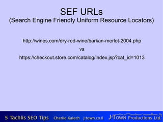 SEF URLs
(Search Engine Friendly Uniform Resource Locators)


    http://wines.com/dry-red-wine/barkan-merlot-2004.php
                             vs
   https://checkout.store.com/catalog/index.jsp?cat_id=1013
 