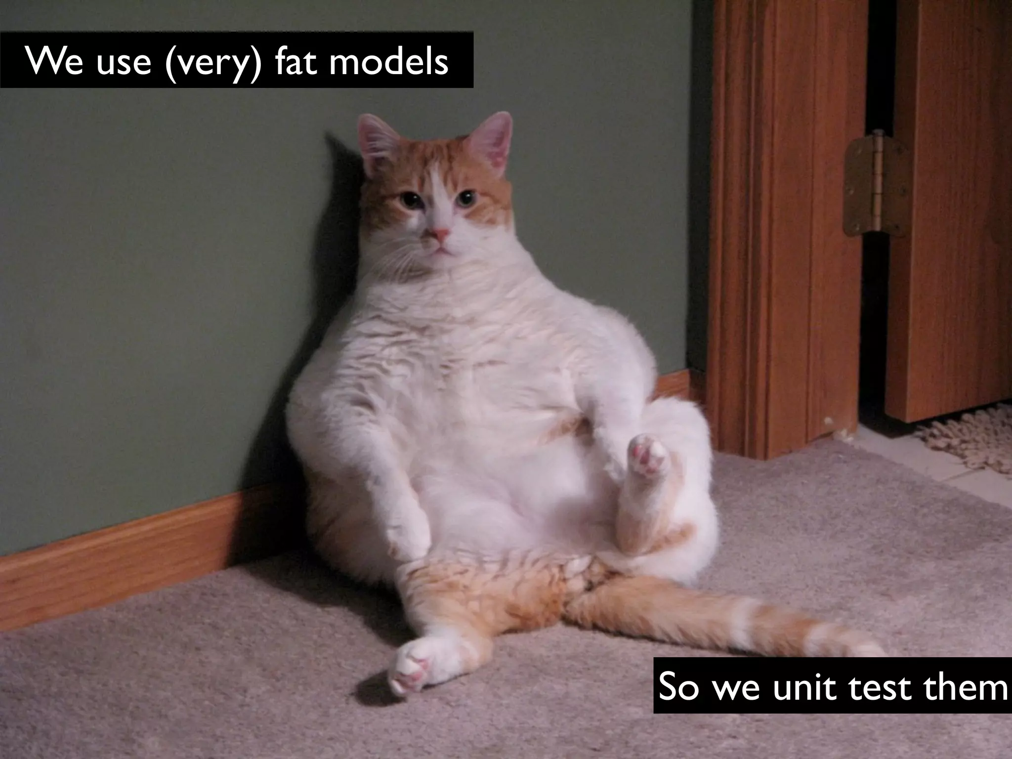 We use (very) fat models




                           So we unit test them
 