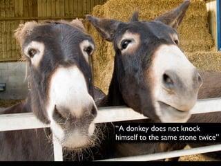 “A donkey does not knock
himself to the same stone twice”
 