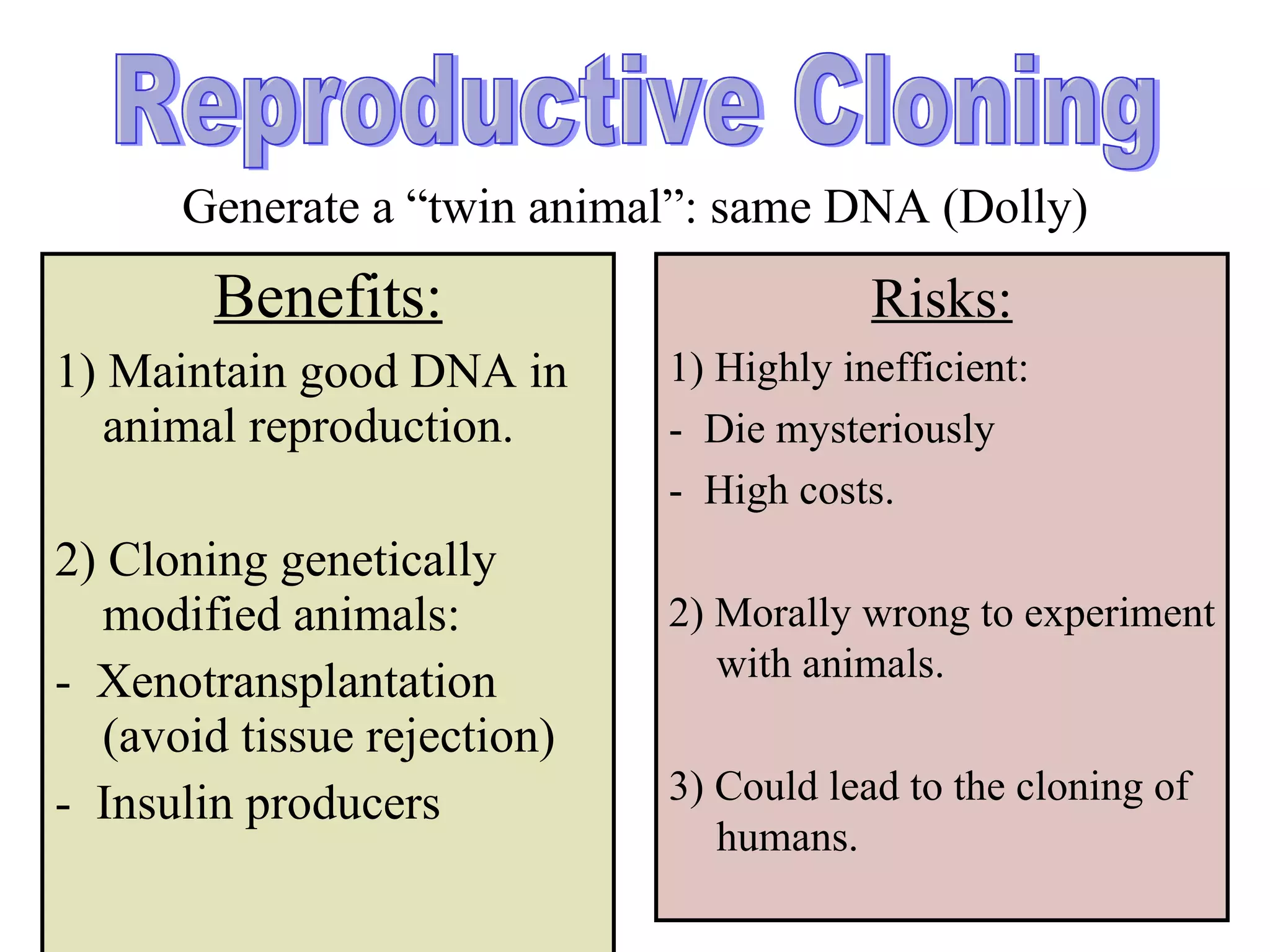   Generate a “twin animal”: same DNA (Dolly) Benefits: 1) Maintain good DNA in animal reproduction. 2) Cloning genetically modified animals: -  Xenotransplantation (avoid tissue rejection) -  Insulin producers Risks: 1) Highly inefficient:  -  Die mysteriously -  High costs. 2) Morally wrong to experiment with animals. 3) Could lead to the cloning of humans. Reproductive Cloning 