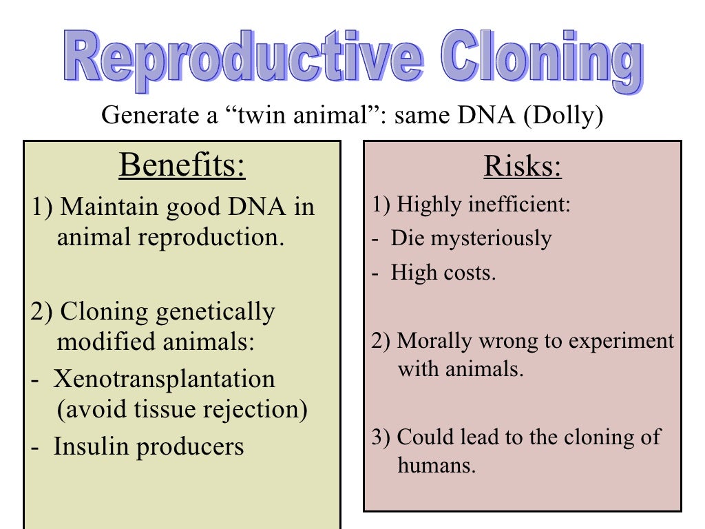 Cloning Presentation