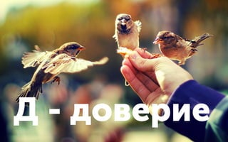 Д - доверие
 