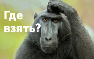 Где
взять?
 