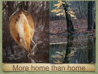 More home than home
 