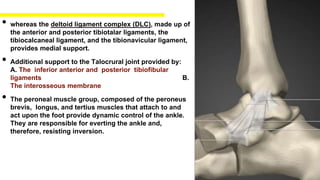 • whereas the deltoid ligament complex (DLC), made up of
the anterior and posterior tibiotalar ligaments, the
tibiocalcaneal ligament, and the tibionavicular ligament,
provides medial support.
• Additional support to the Talocrural joint provided by:
A. The inferior anterior and posterior tibiofibular
ligaments B.
The interosseous membrane
• The peroneal muscle group, composed of the peroneus
brevis, longus, and tertius muscles that attach to and
act upon the foot provide dynamic control of the ankle.
They are responsible for everting the ankle and,
therefore, resisting inversion.
 