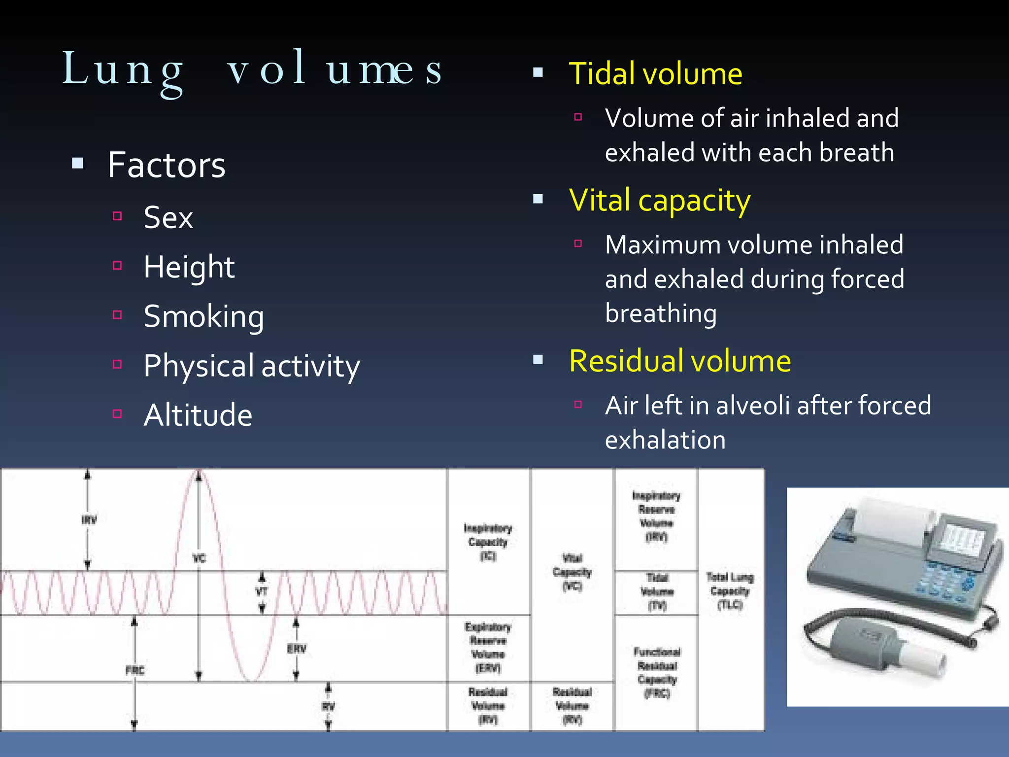 Lung volumes Factors Sex Height Smoking Physical activity Altitude Tidal volume Volume of air inhaled and exhaled with each breath Vital capacity Maximum volume inhaled and exhaled during forced breathing Residual volume Air left in alveoli after forced exhalation 