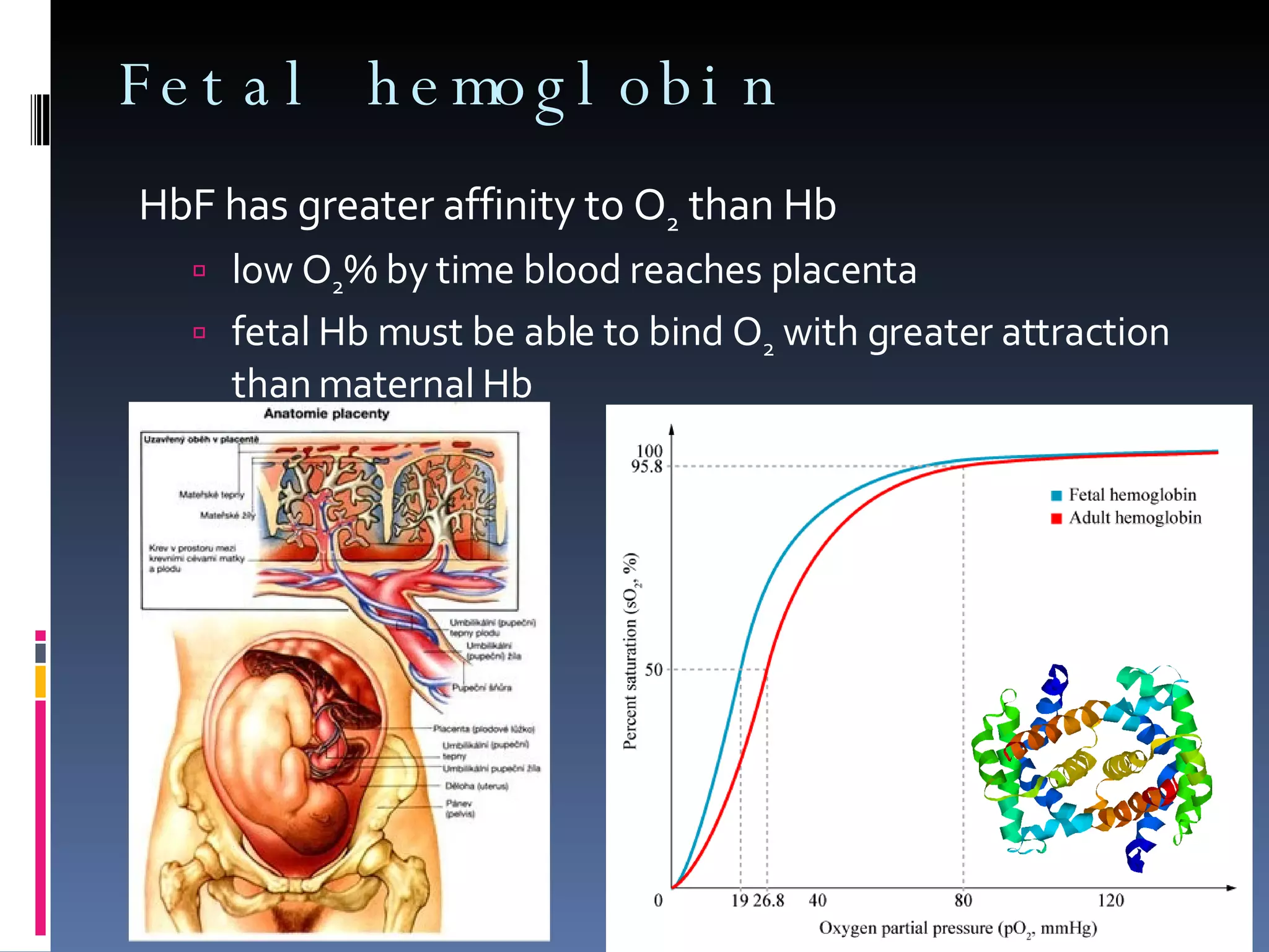 Fetal hemoglobin HbF has greater affinity to O 2  than Hb low O 2 % by time blood reaches placenta fetal Hb must be able to bind O 2  with greater attraction than maternal Hb  