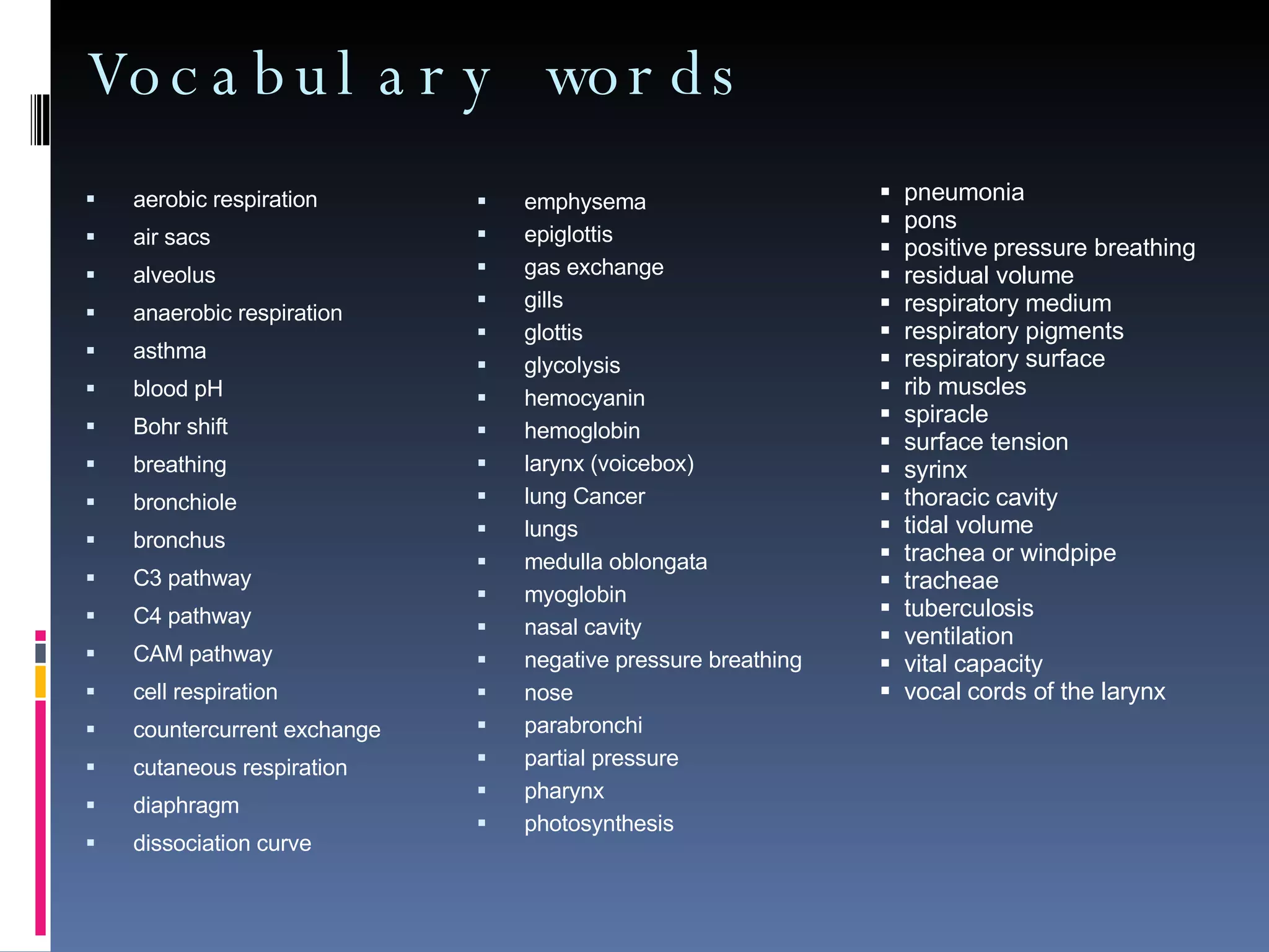 Vocabulary words aerobic respiration air sacs alveolus anaerobic respiration asthma blood pH Bohr shift  breathing bronchiole bronchus C3 pathway C4 pathway CAM pathway cell respiration countercurrent exchange cutaneous respiration diaphragm dissociation curve emphysema epiglottis gas exchange gills  glottis glycolysis hemocyanin hemoglobin larynx (voicebox) lung Cancer lungs medulla oblongata myoglobin nasal cavity negative pressure breathing nose parabronchi  partial pressure pharynx photosynthesis pneumonia pons positive pressure breathing residual volume respiratory medium respiratory pigments respiratory surface rib muscles spiracle  surface tension syrinx thoracic cavity tidal volume trachea or windpipe tracheae tuberculosis ventilation  vital capacity vocal cords of the larynx 