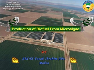 Tanta University Faculty of Science Botany Department Phycology Research Unit BY Abd El-Fatah Ibrahim Abo-Mohra Production of Biofuel From Microalgae  