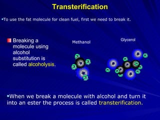 Tranterification Process Workflow Biodiesel Presentation | PPS