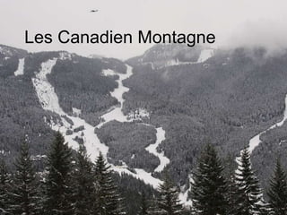 Les Canadien Montagne 